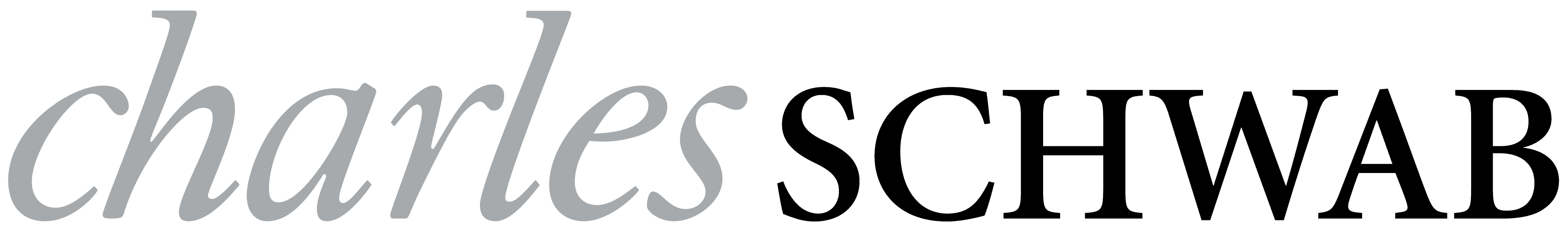 Charles Schwab logo